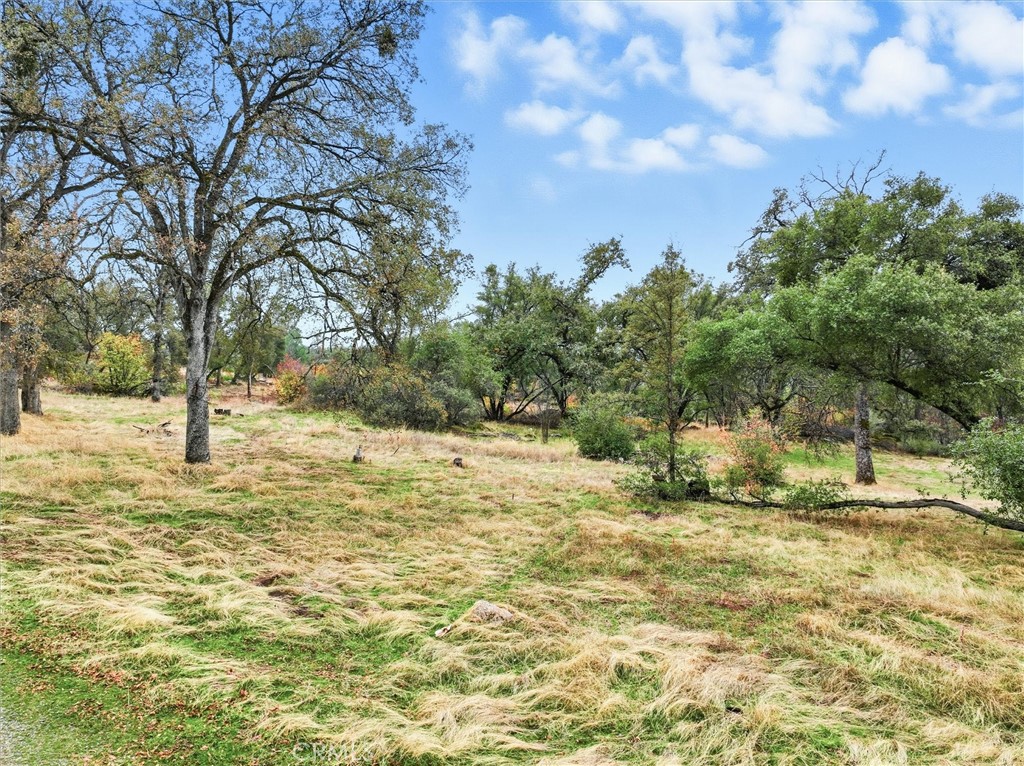 4489 Varain Road Mariposa, CA 95338 - Photo 37 of 39 a view of yard with trees