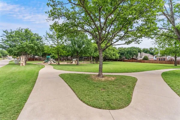 a view of a park with large trees