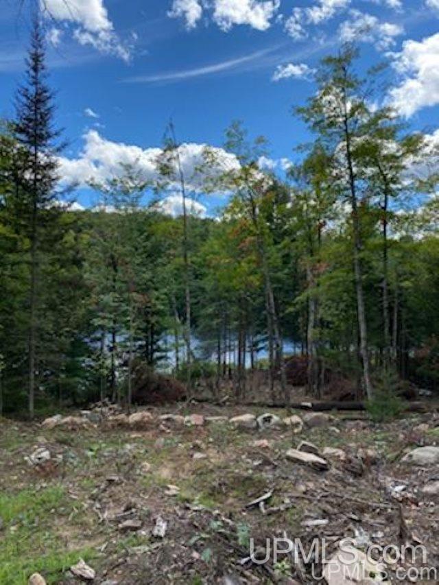 Tbd Red Road Michigamme, MI 49861 - Photo 2 of 10 Gallery Image 2