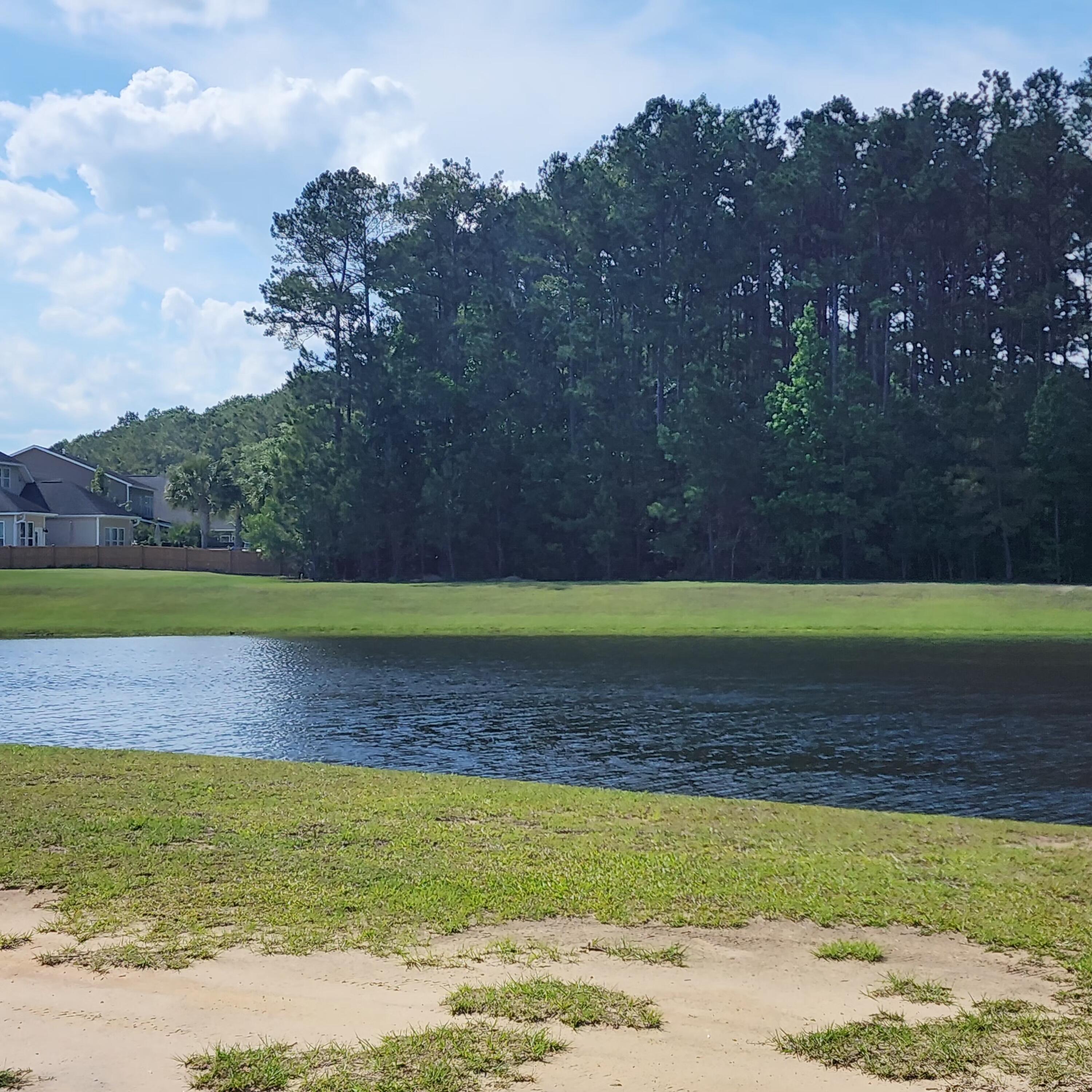 169 Woodbrook Way Moncks Corner, SC 29461 - Photo 37 of 51 20250514_160307