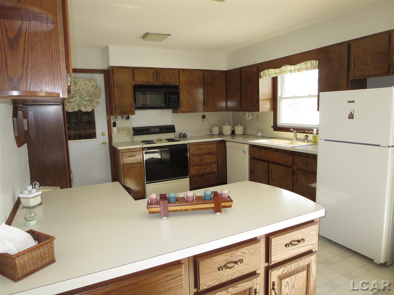 2641 Ives Road Tecumseh, MI 49286 - Photo 15 of 36 NEWER CABINET AREA