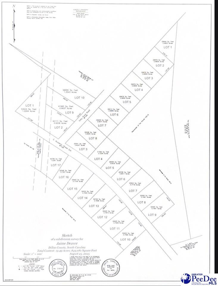 Lot 10 Oaky Point Road Latta, SC 29565 - Photo 2 of 2 Gallery Image 2