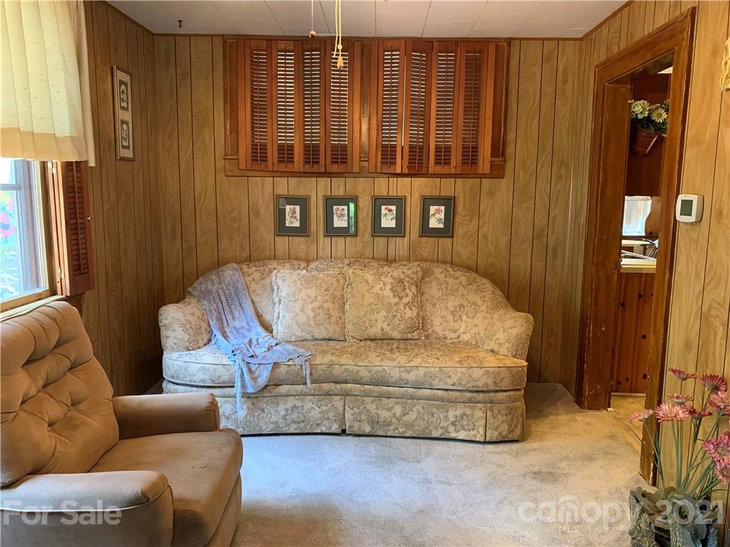 46 Ridgelawn Road Asheville, NC 28806 - Photo 21 of 47 Gallery Image 21
