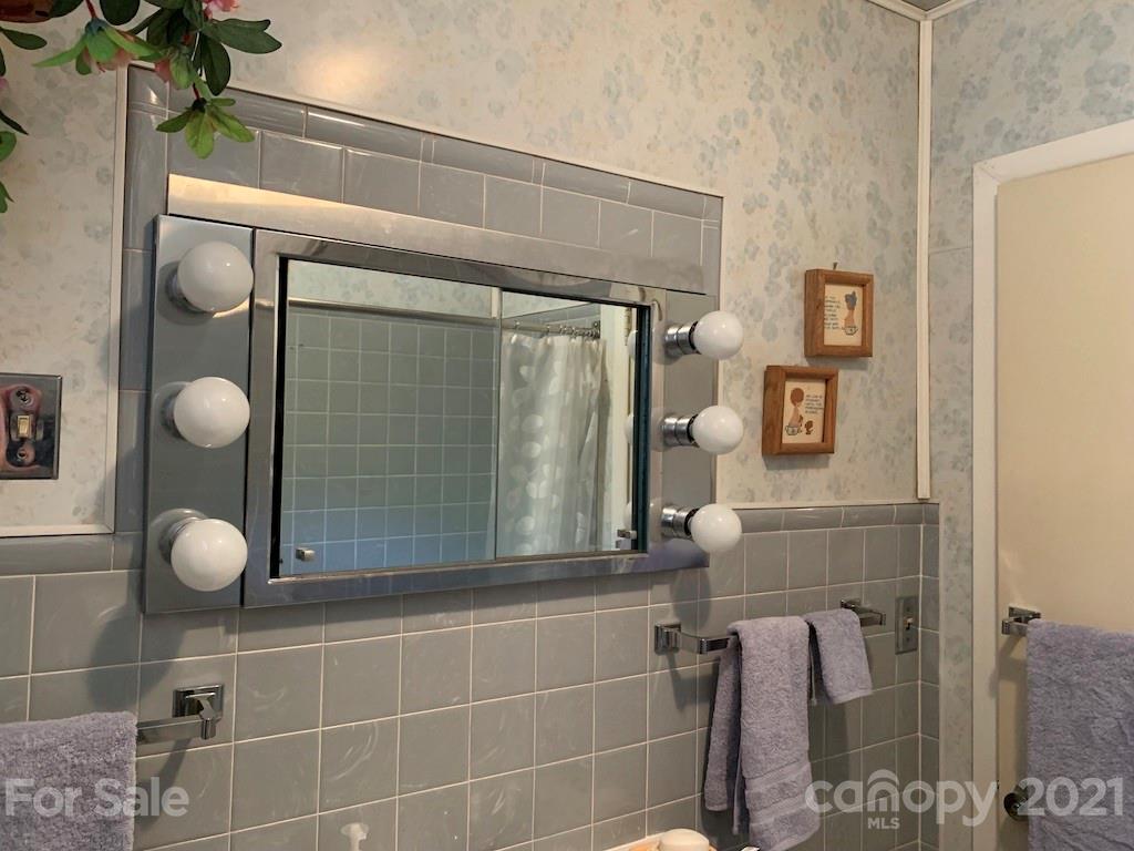 46 Ridgelawn Road Asheville, NC 28806 - Photo 28 of 47 Gallery Image 28