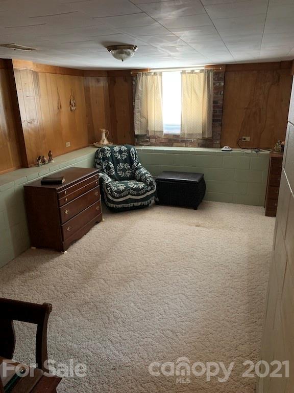 46 Ridgelawn Road Asheville, NC 28806 - Photo 36 of 47 Gallery Image 36