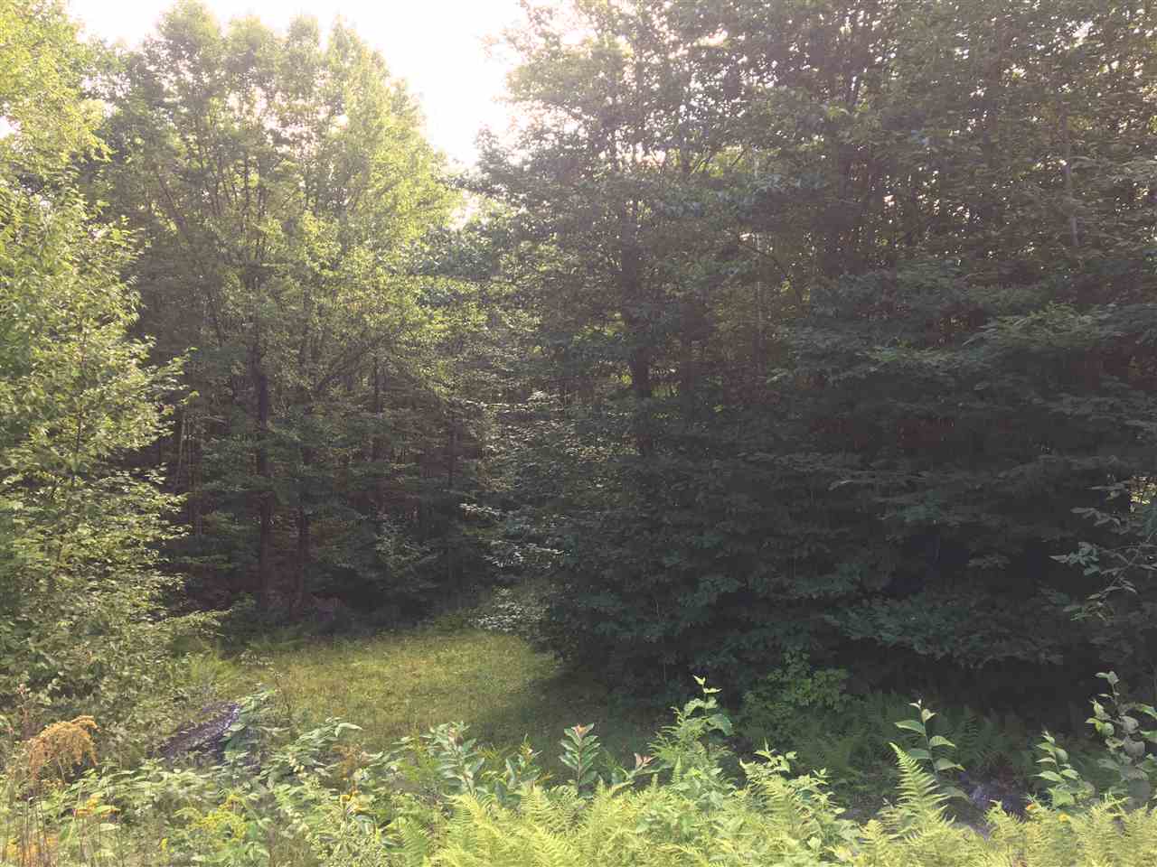 137 Beaver Brook Road Washington, NH 03280 - Photo 3 of 10