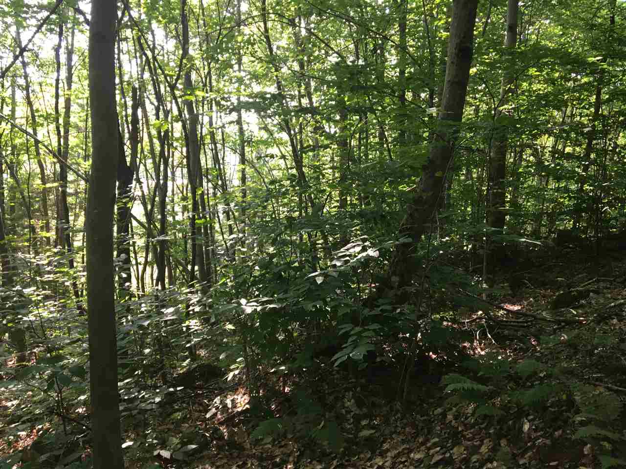 137 Beaver Brook Road Washington, NH 03280 - Photo 6 of 10