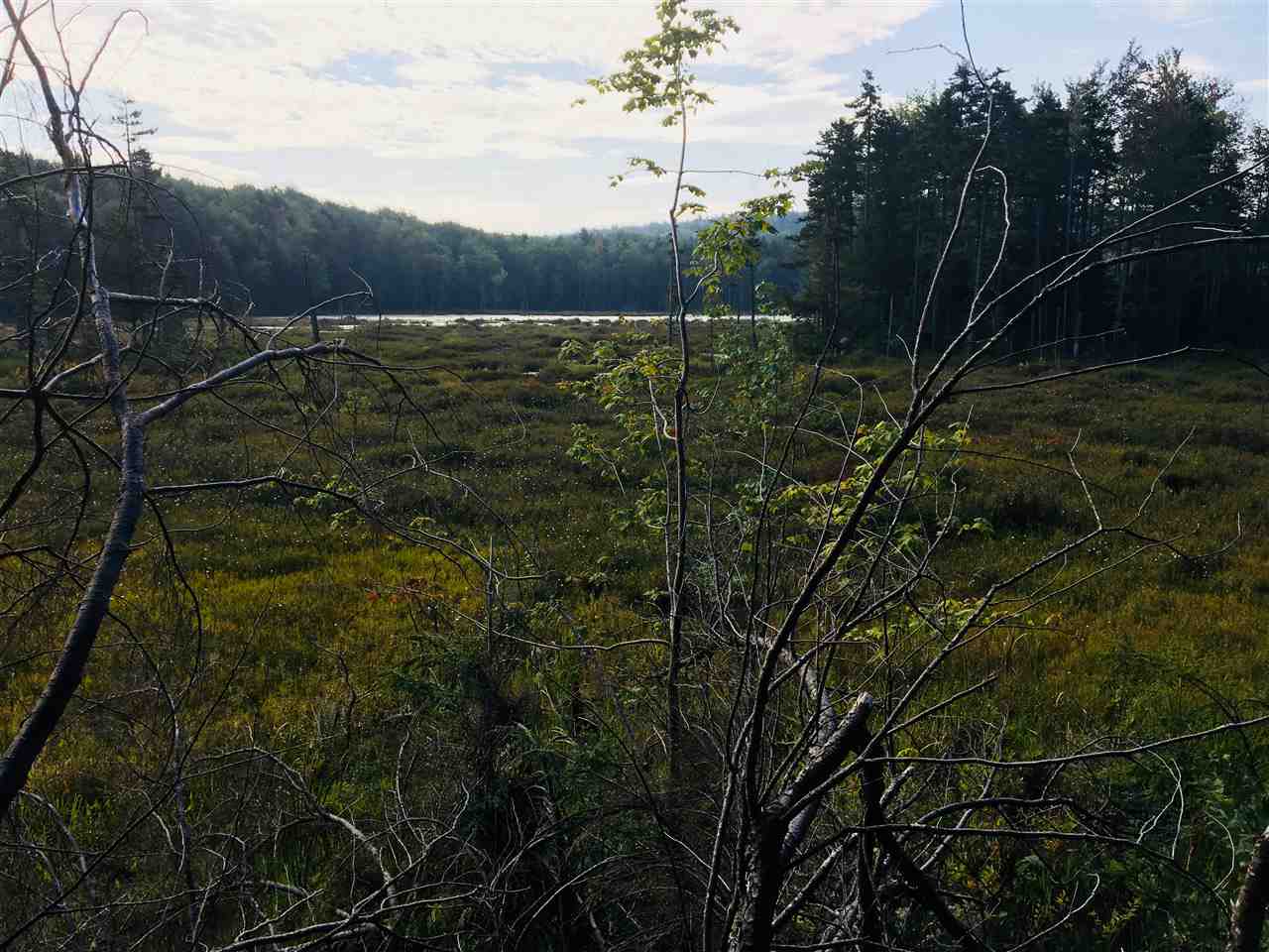 137 Beaver Brook Road Washington, NH 03280 - Photo 7 of 10
