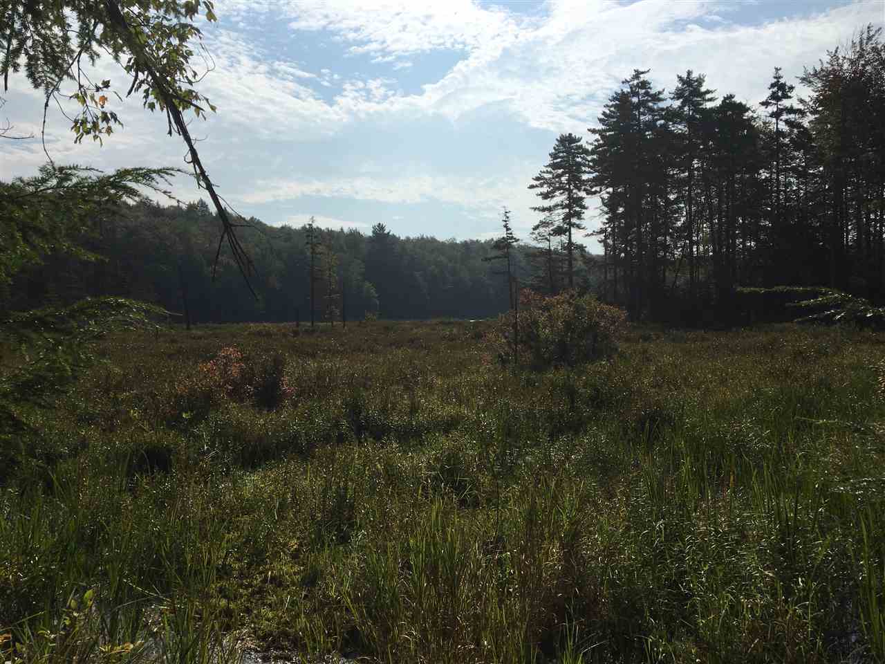 137 Beaver Brook Road Washington, NH 03280 - Photo 8 of 10