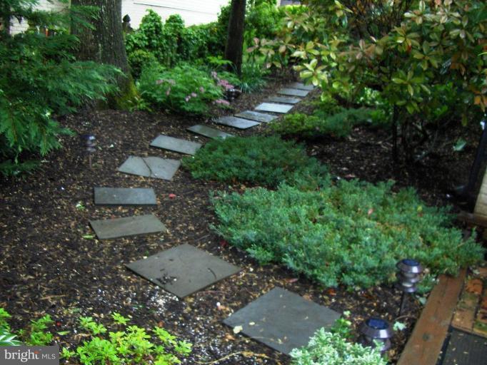 6811 Mallow Court Springfield, VA 22152 - Photo 29 of 30 a view of a garden with plants and large trees