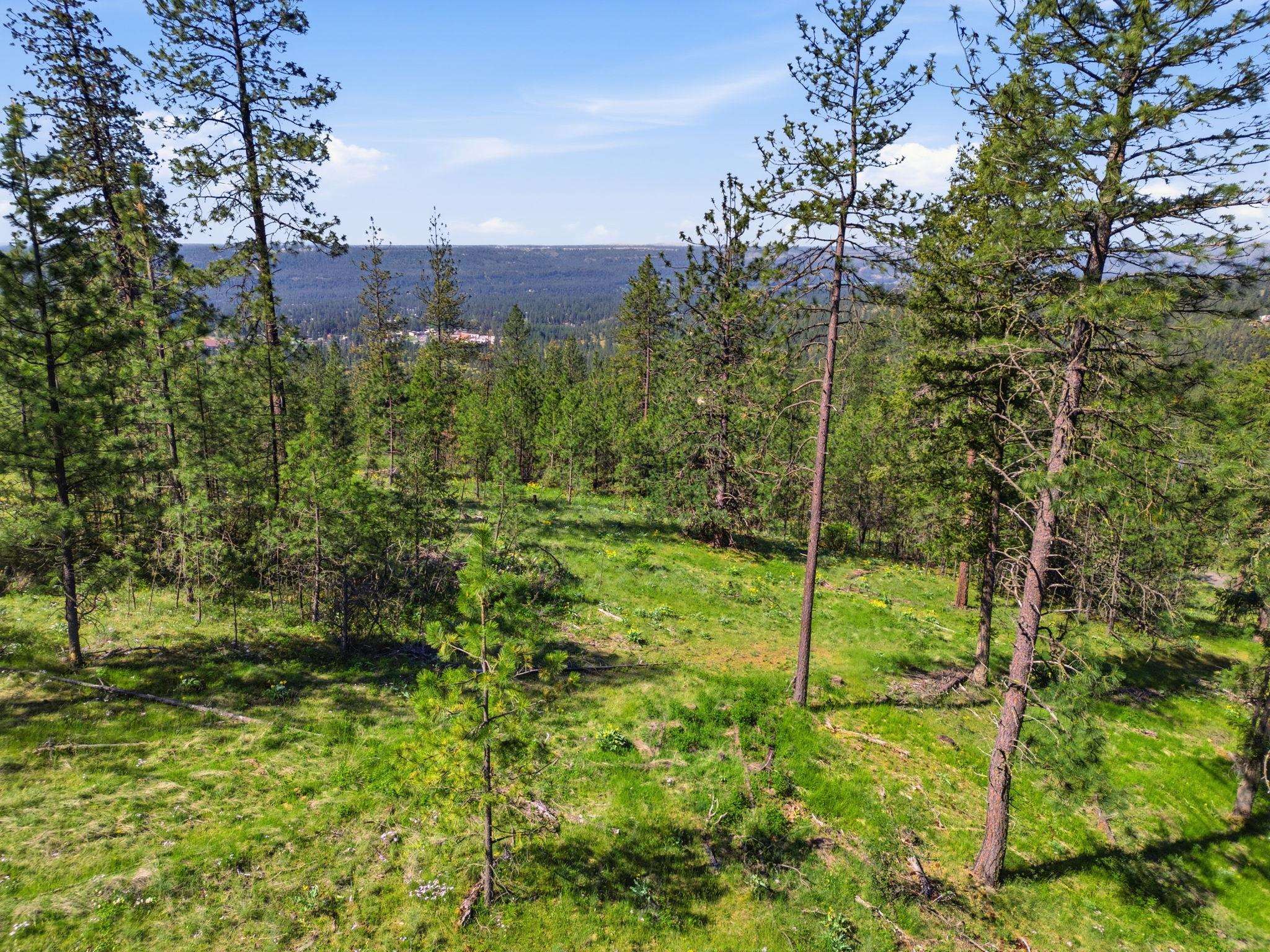 Nka Weaver Road, Unit LOT D Deer Park, WA 99006 - Photo 1 of 20