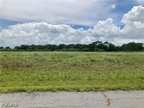 607 Raleigh Drive LaBelle, FL 33935 - Photo 2 of 4 a view of a lake with plants