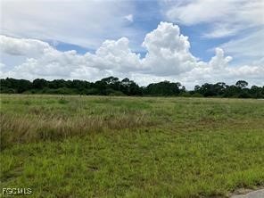 607 Raleigh Drive LaBelle, FL 33935 - Photo 3 of 4 a view of a lake with houses in the background