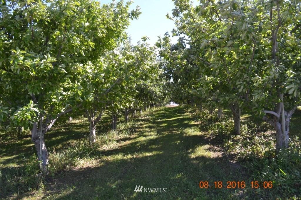 150 O'Neil Road Oroville, WA 98844 - Photo 13 of 14 Gallery Image 13