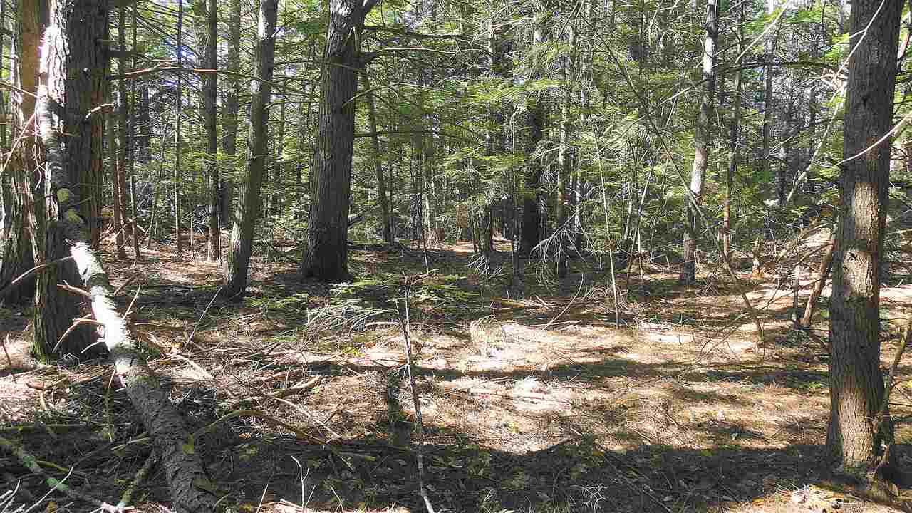 365 Old Coach Road New Boston, NH 03070 - Photo 2 of 10