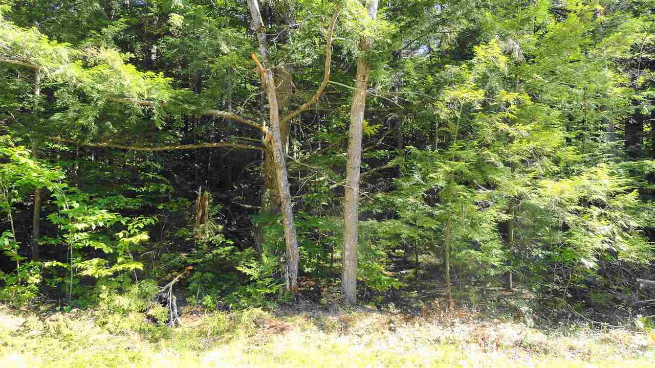 365 Old Coach Road New Boston, NH 03070 - Photo 4 of 10