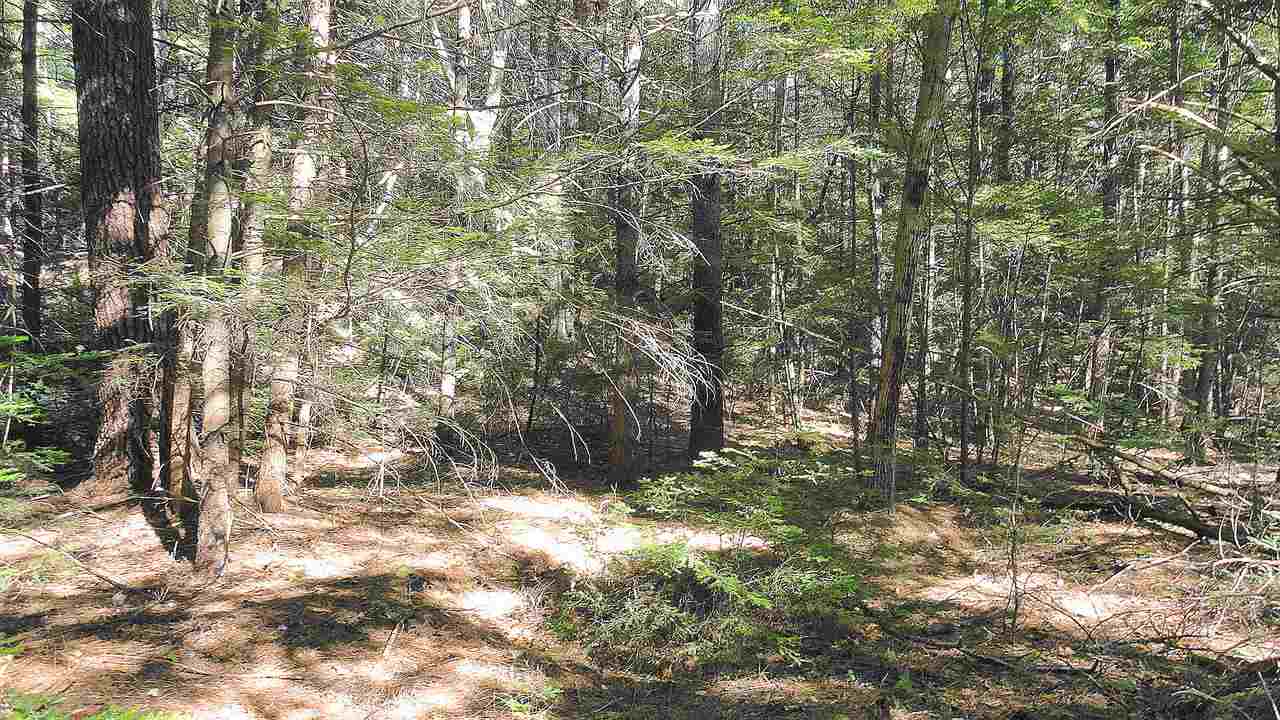 365 Old Coach Road New Boston, NH 03070 - Photo 5 of 10