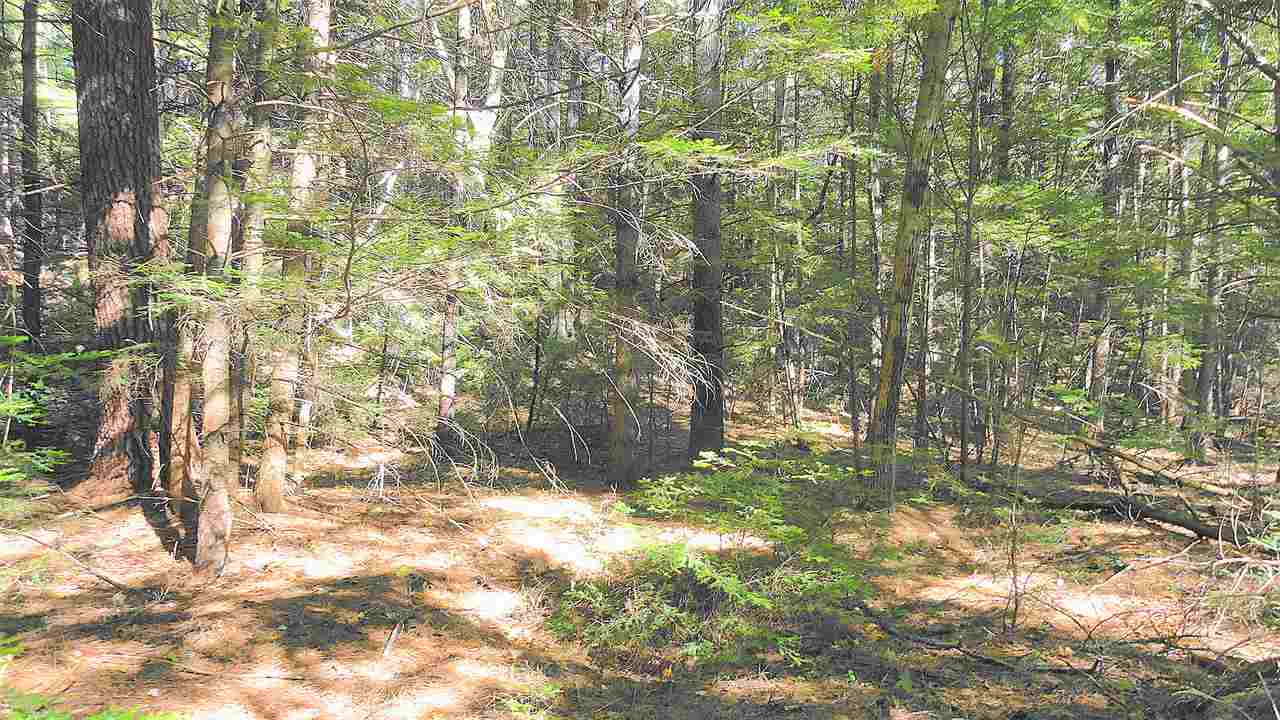 365 Old Coach Road New Boston, NH 03070 - Photo 6 of 10