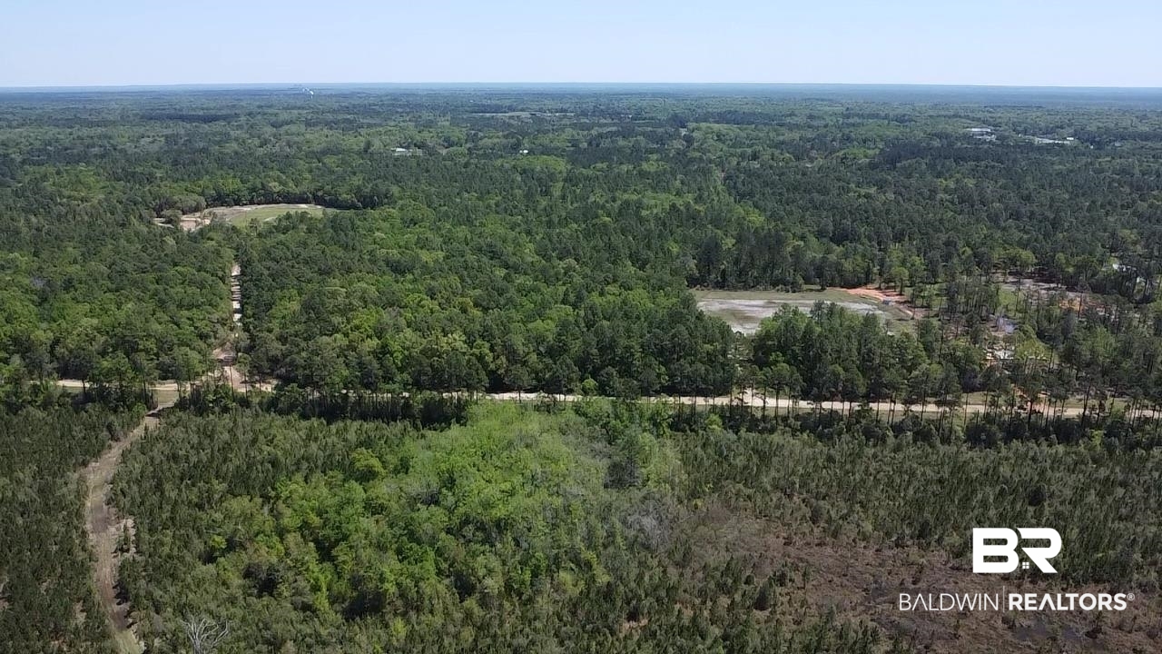 0 I-65 Service Road Creola, AL 36525 - Photo 3 of 20 Birds eye view of property with a wooded view
