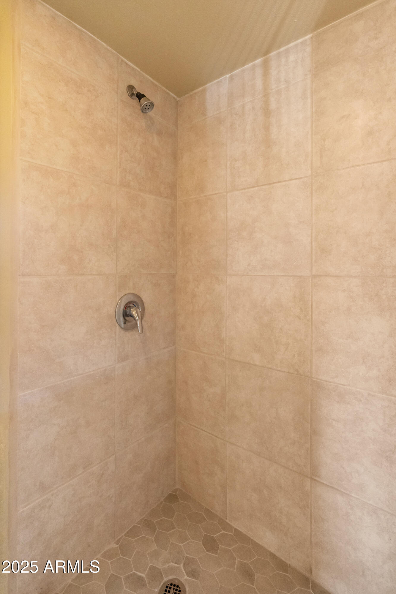 122 North 9th Avenue Phoenix, AZ 85007 - Photo 39 of 43 a bathroom with a shower