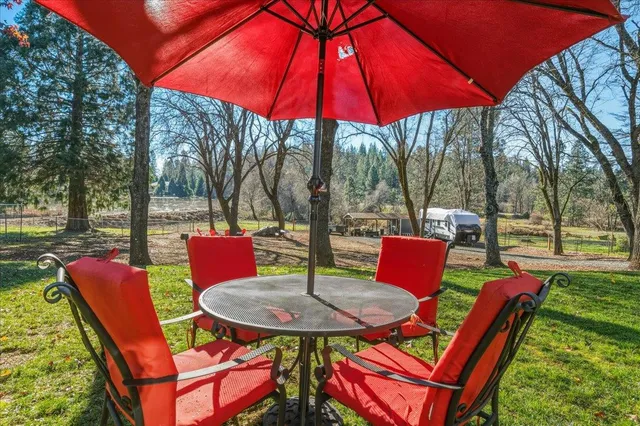 a view of a park with large trees