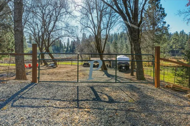 a view of a yard with plants and trees