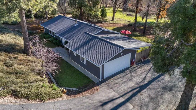 a backyard of a house with fountain plants and large tree