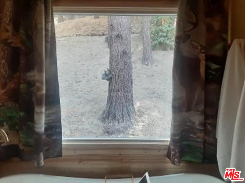 857 Lark Road Wrightwood, CA 92397 - Photo 33 of 43 Gallery Image 33