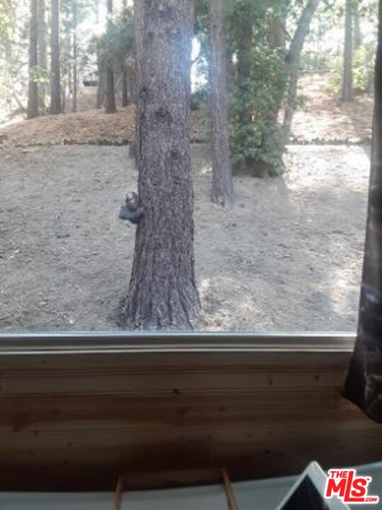 857 Lark Road Wrightwood, CA 92397 - Photo 34 of 43 Gallery Image 34