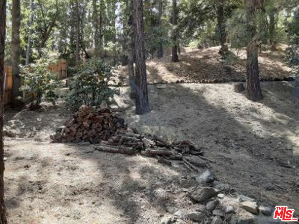 857 Lark Road Wrightwood, CA 92397 - Photo 8 of 43 Gallery Image 8