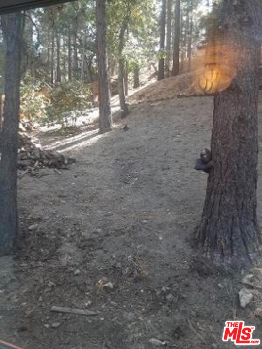 857 Lark Road Wrightwood, CA 92397 - Photo 10 of 43 Gallery Image 10