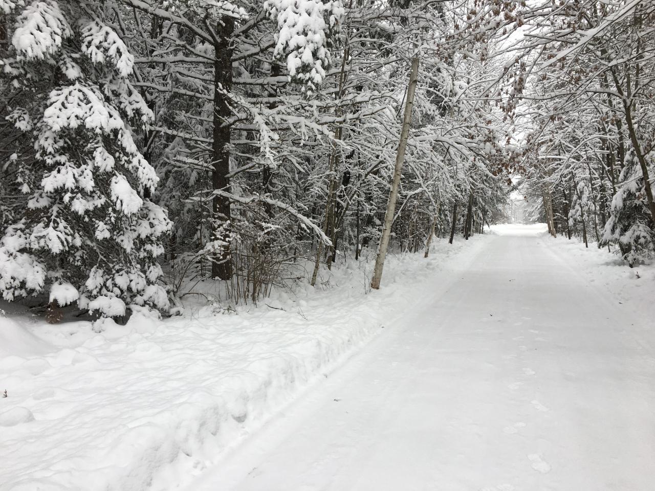 On Mercer Lake Road, Unit LOT 1 Minocqua, WI 54548 - Photo 7 of 7 Gallery Image 7