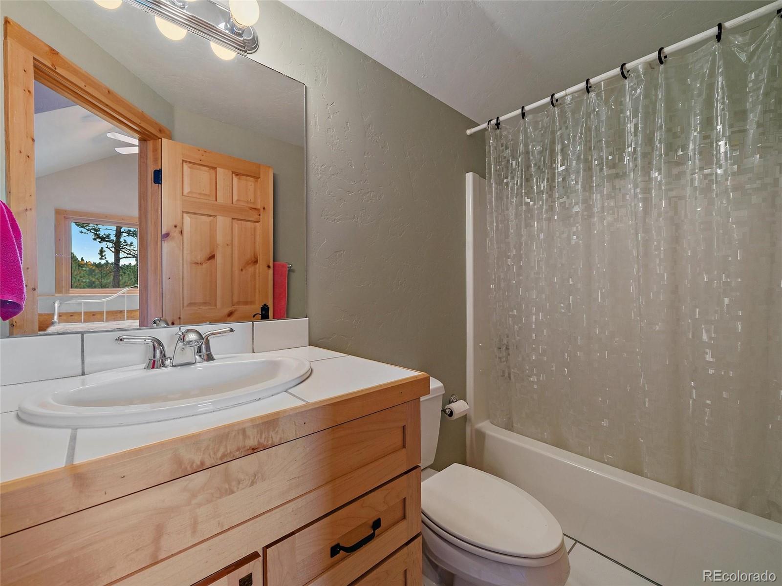 96 Six Bits Street Bailey, CO 80421 - Photo 33 of 40 a bathroom with a sink a toilet a mirror and shower