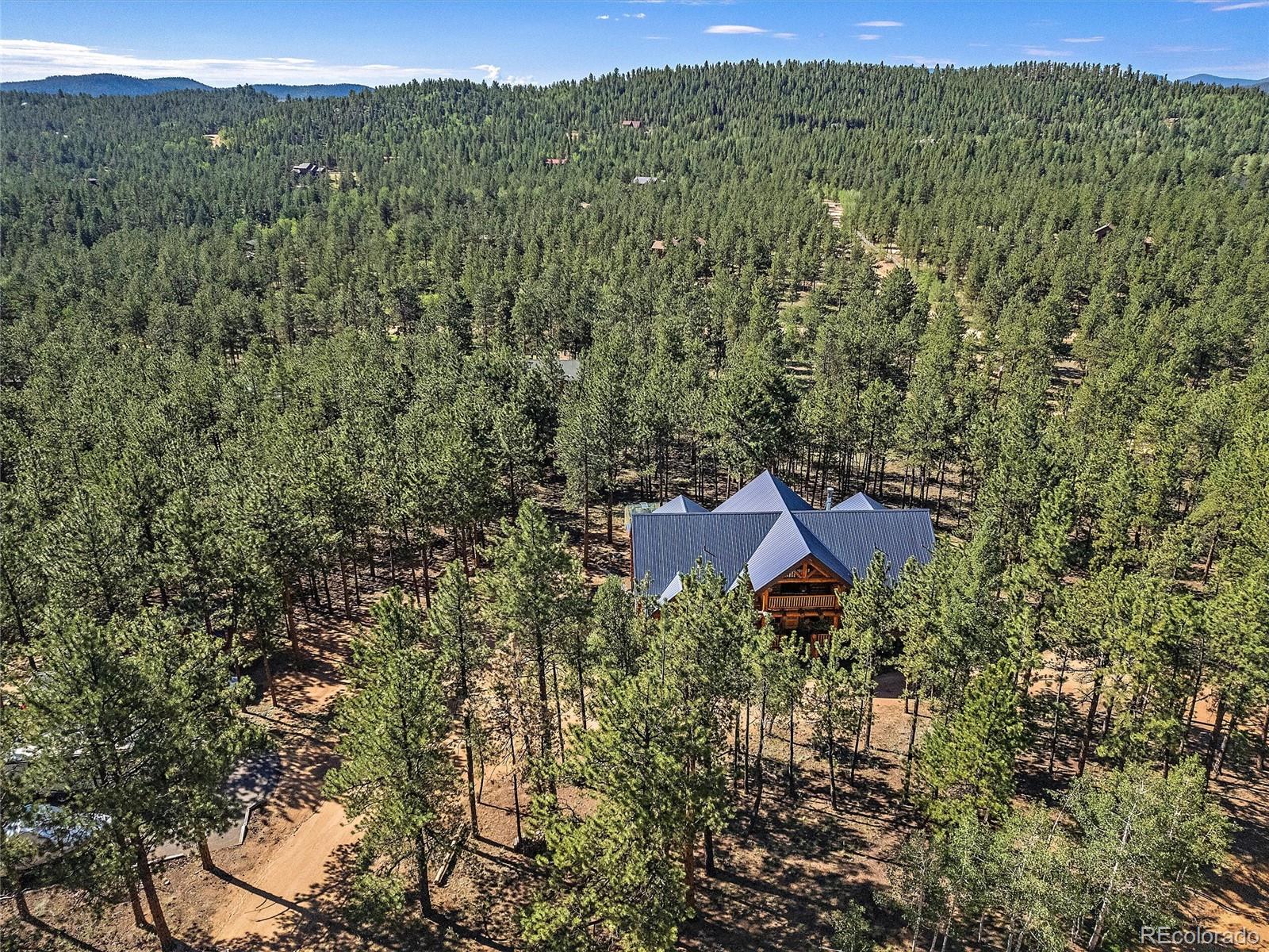 96 Six Bits Street Bailey, CO 80421 - Photo 9 of 40 a view of a lush green field