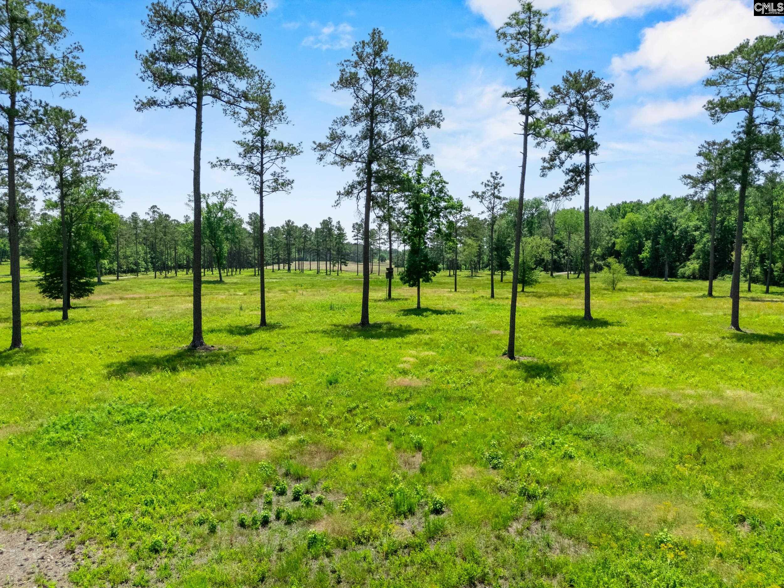 1626-01 Sumter Highway Rembert, SC 29128 - Photo 9 of 16