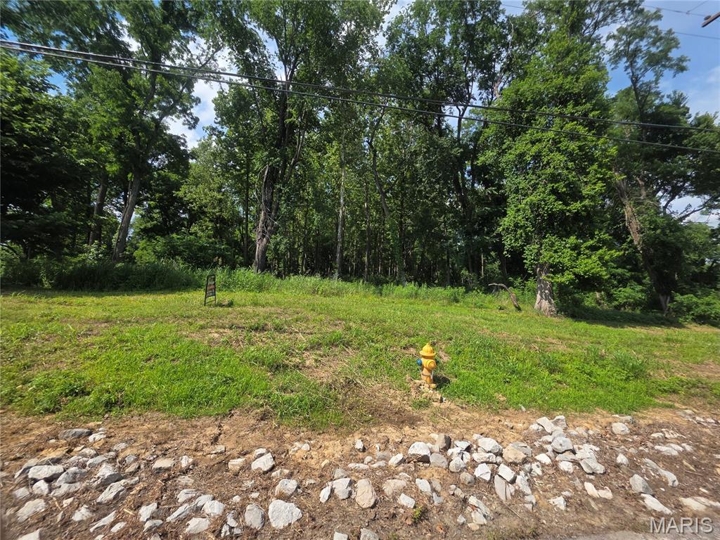 Xxx Briar Hill Road Belleville, IL 62223 - Photo 6 of 8