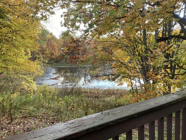 $160,000 | 313 Eastland Drive, Leroy, MI 49655