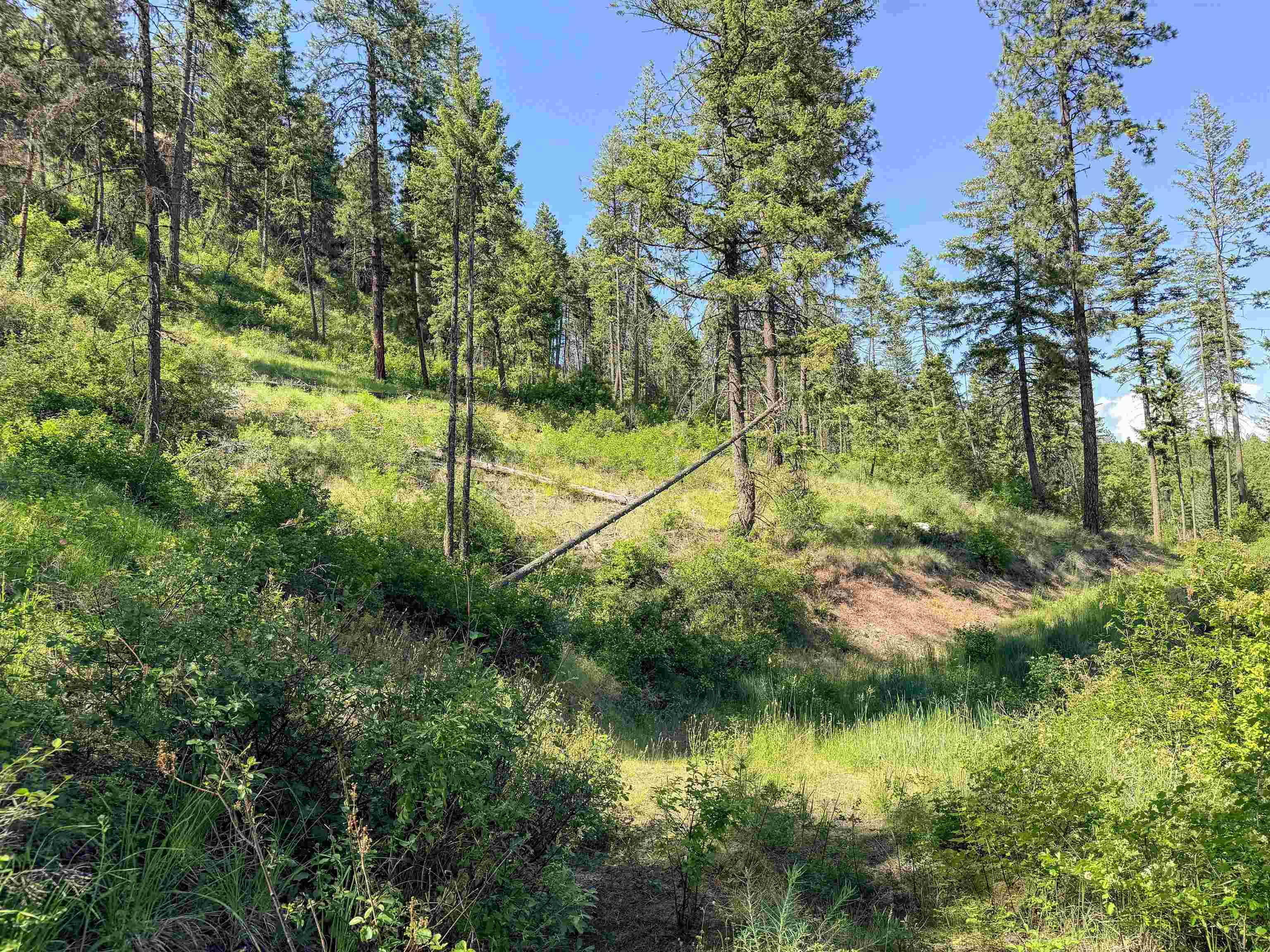 2008-tbd (e-h) Summit Valley Road Addy, WA 99101 - Photo 2 of 20