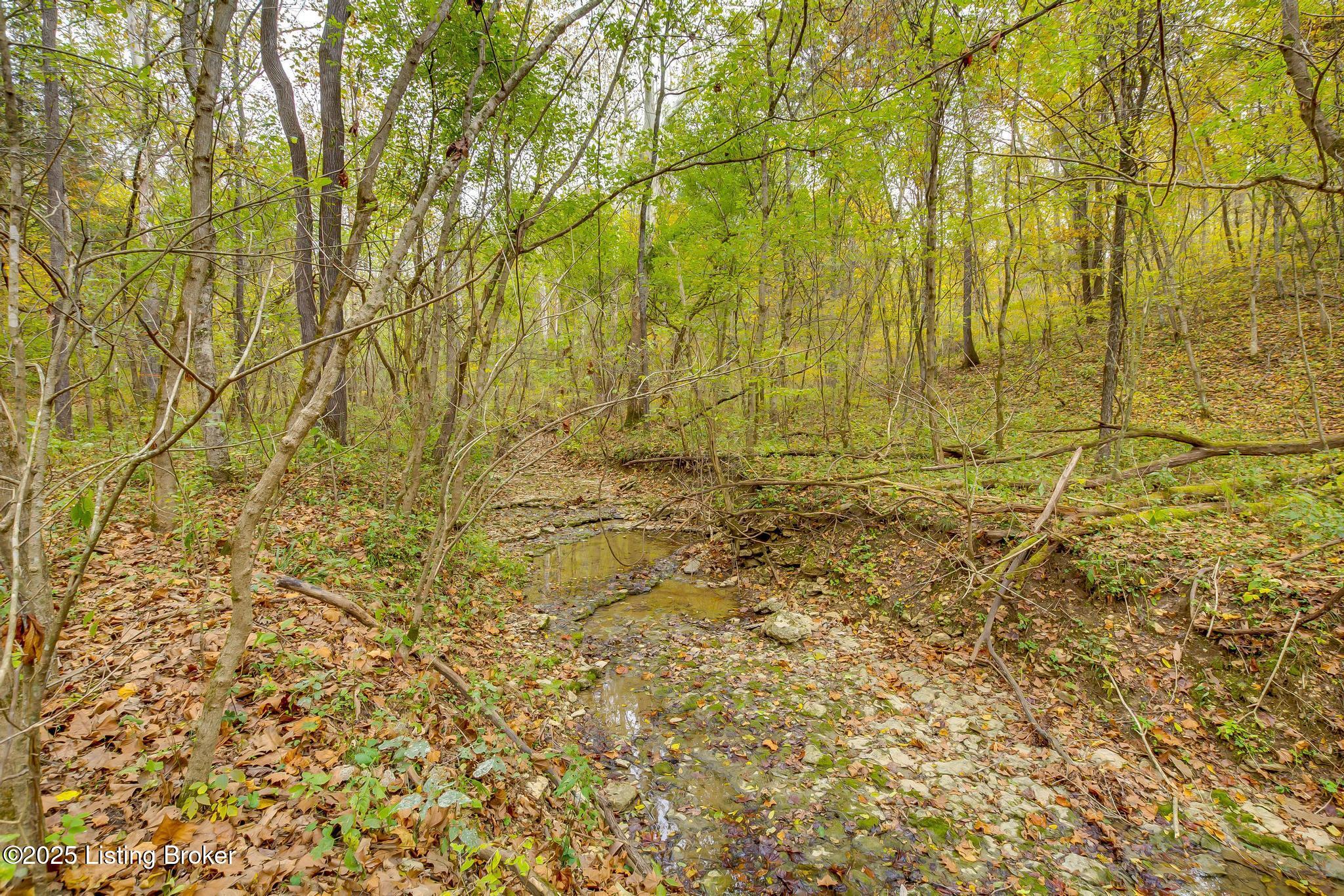 Lot 8 Bray Ridge Road Bedford, KY 40006 - Photo 25 of 46 BrayRidgeRd_754