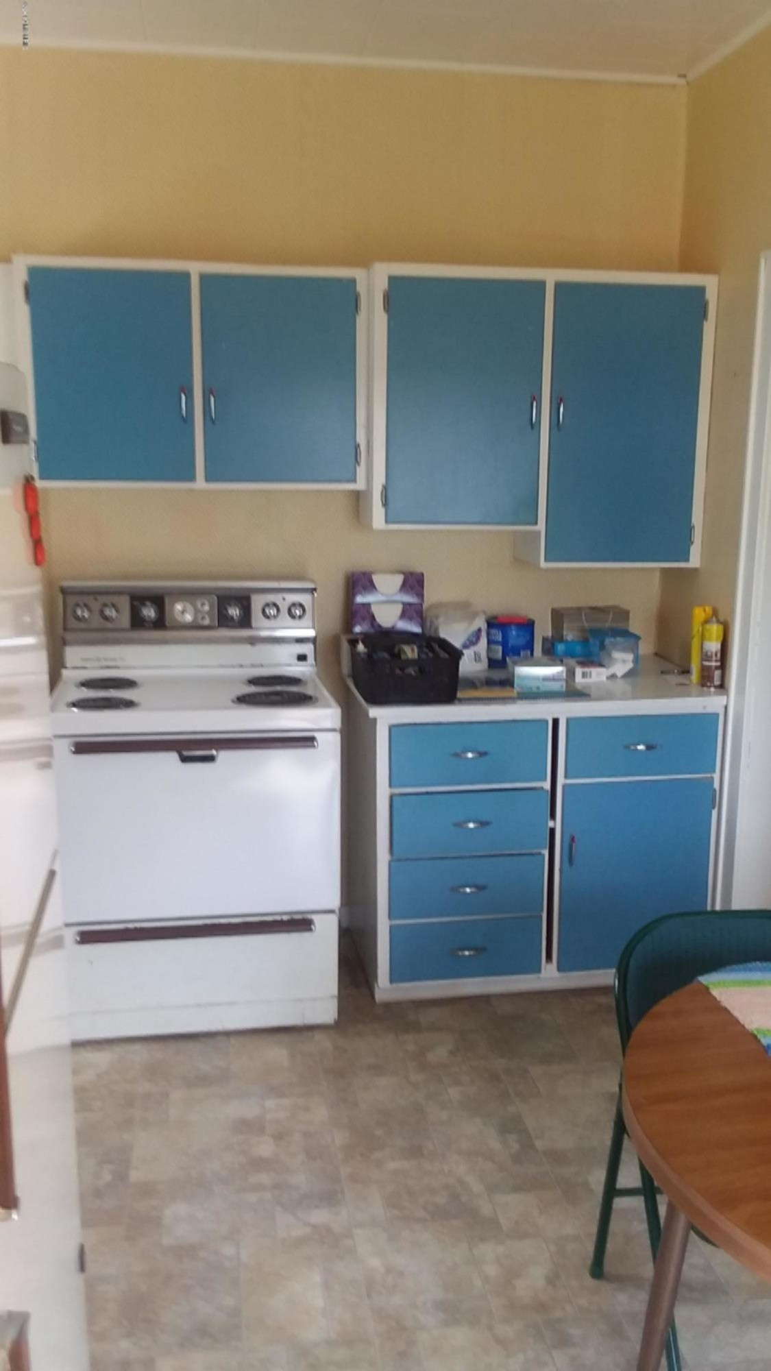 751 South Mill Street Reed City, MI 49677 - Photo 13 of 22 20190718_154439