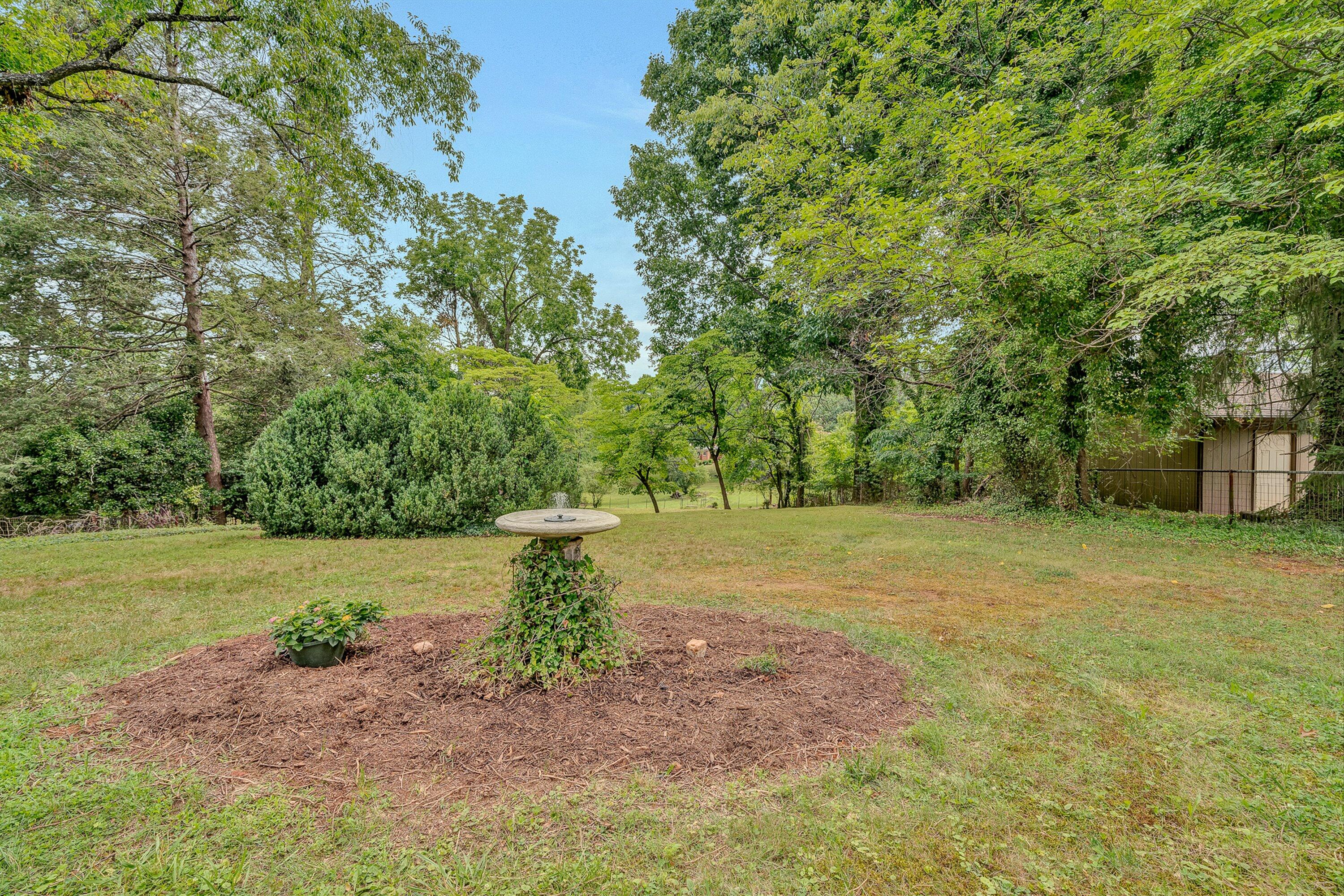 1035 Clearfield Road Southwest Roanoke, VA 24015 - Photo 29 of 43 backyard