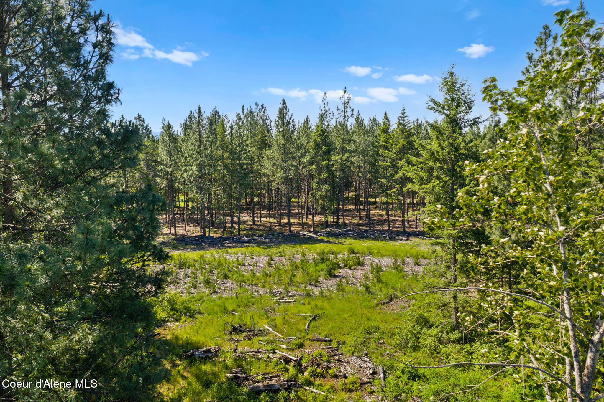 Nka East Rookery Road Hayden, ID 83835 - Photo 20 of 25 Wooded