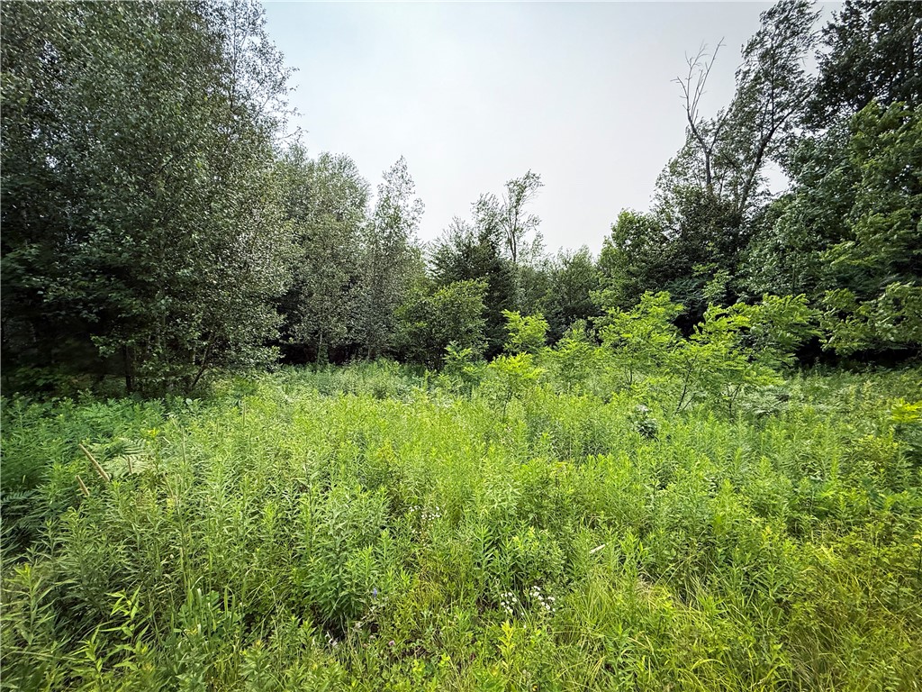 556 Beebe Road Potsdam, NY 13676 - Photo 33 of 50