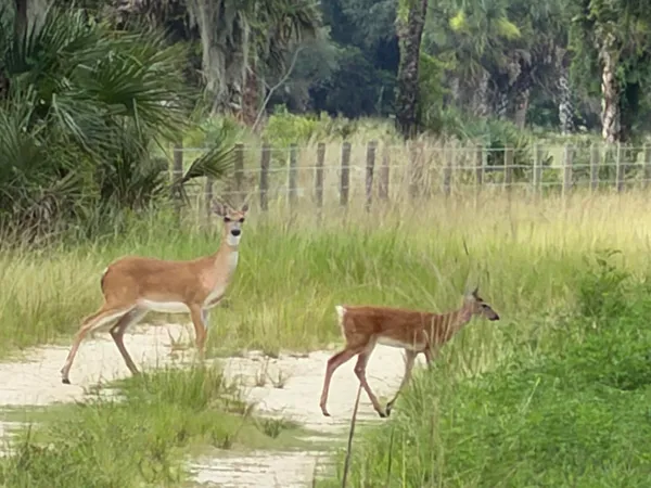 $12,450,000 | 0 Co Road, Clewiston, FL 33440