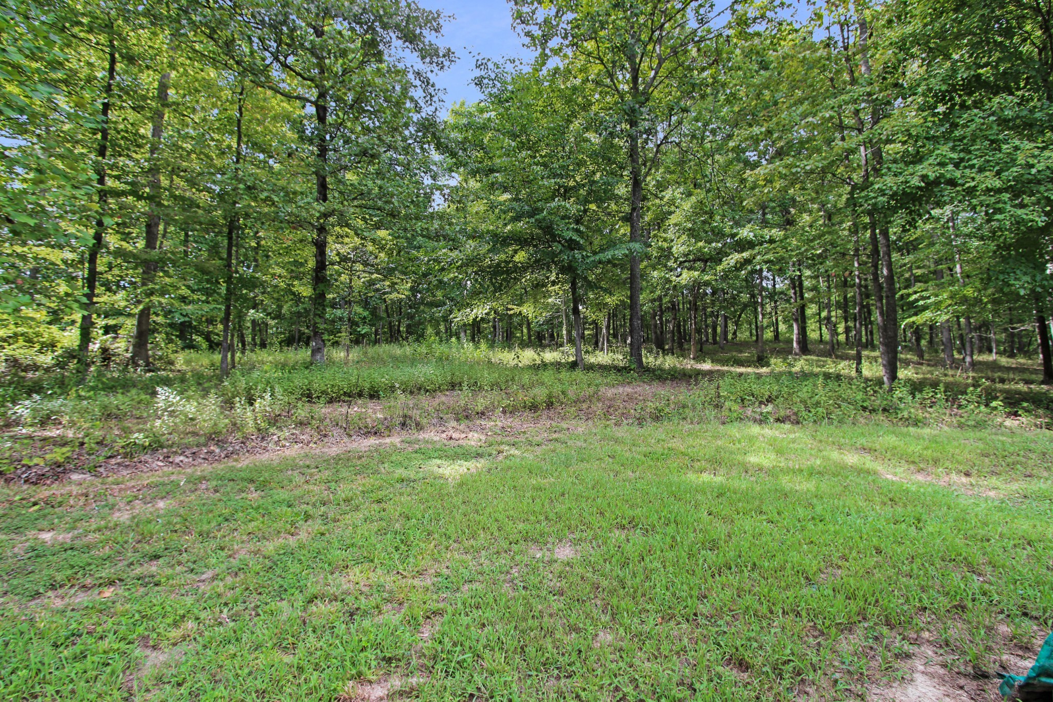 258 North Cross Creek Road Tennessee Ridge, TN 37178 - Photo 14 of 50 Gallery Image 14