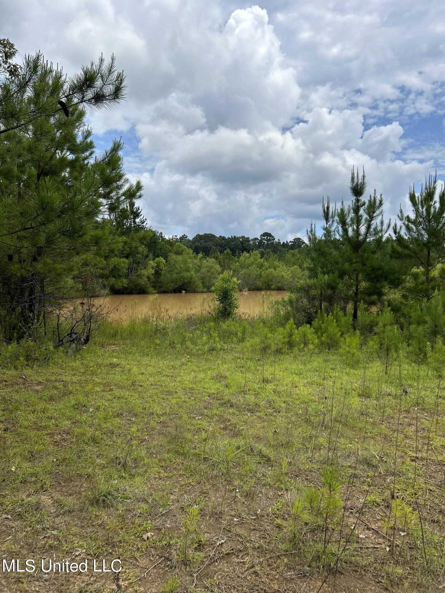 916 White Road Florence, MS 39073 - Photo 10 of 14 White Rd 11