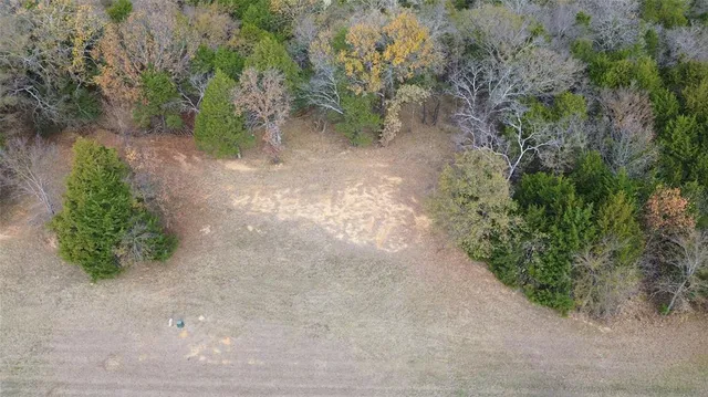 a view of a yard with plants and a tree