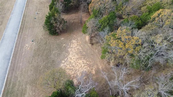 a view of a yard with plants and a bench