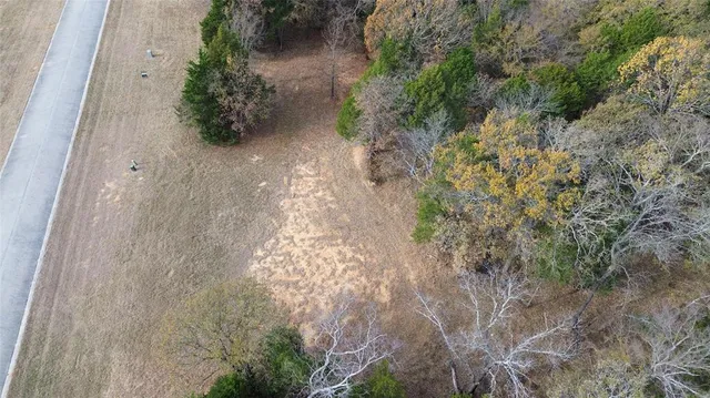 a view of a yard with plants and a bench