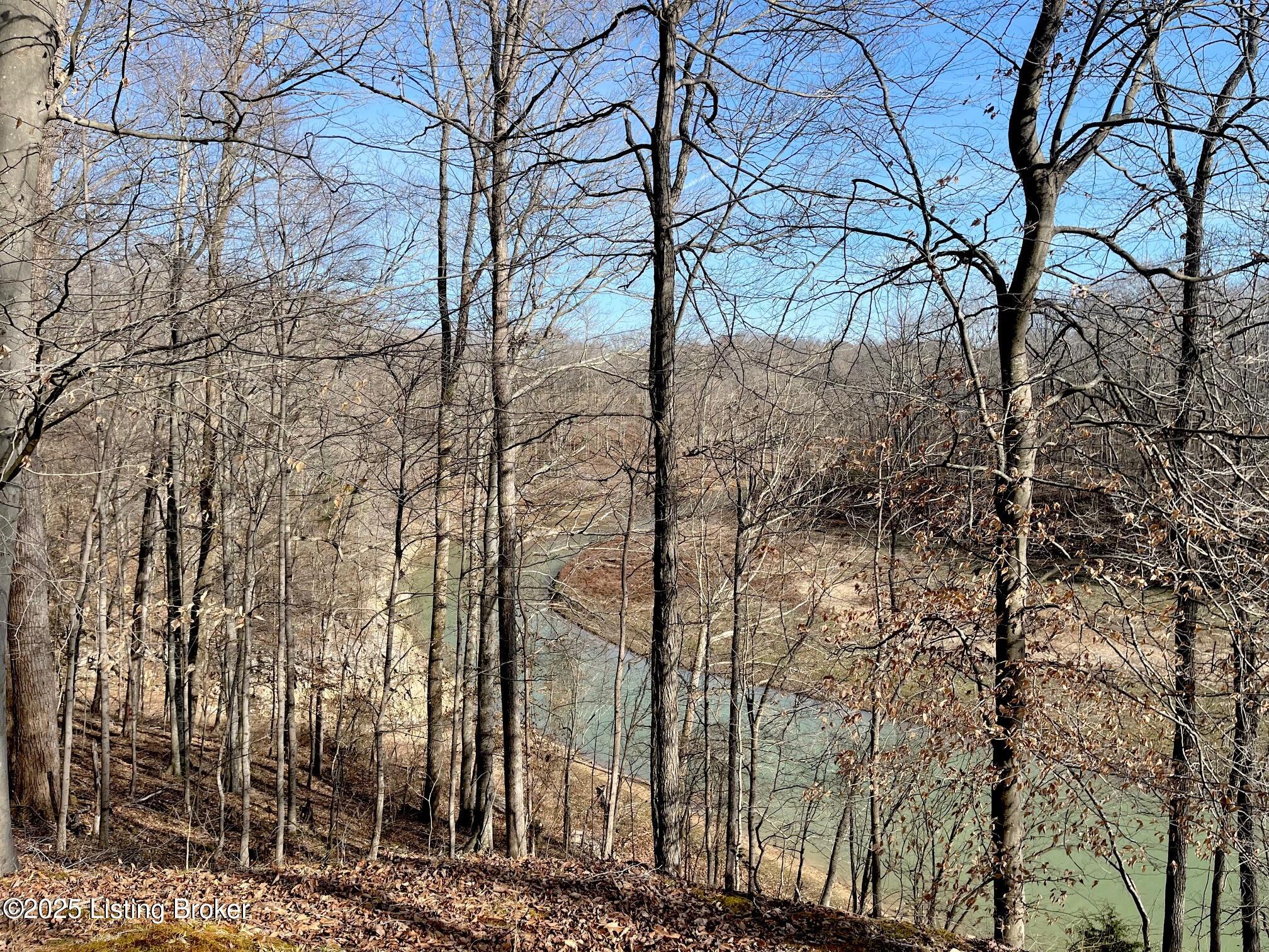 216 Peter Cave Hts Road Leitchfield, KY 42754 - Photo 60 of 63 59